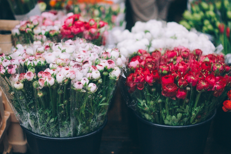 fleuriste-BENDEJUN-min_farmers-market-1209712